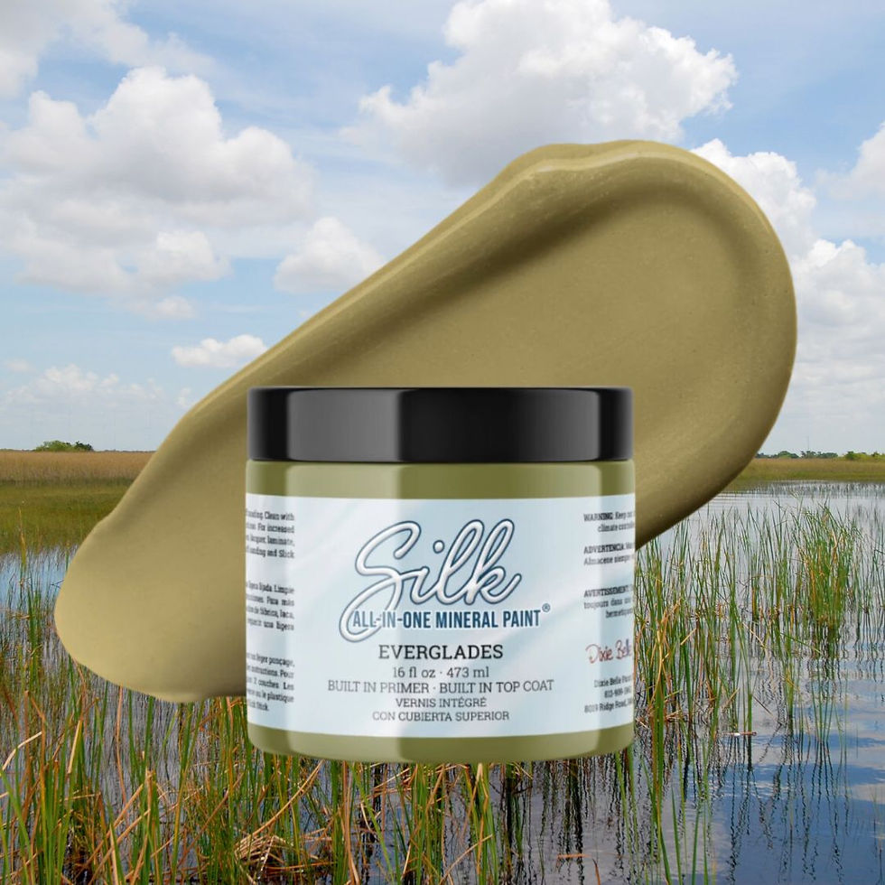 Dixie Belle Silk Paint - Everglades